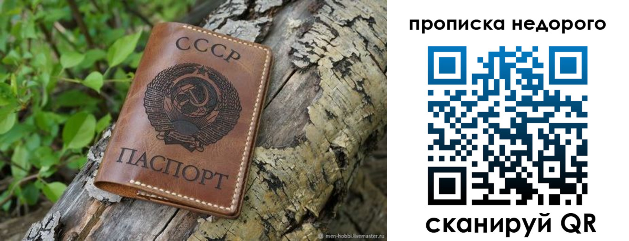 временная регистрация поиск в Мелеузе